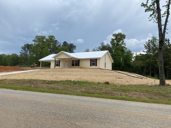 306 Silver Run Rd in Munford, AL - Building Photo - Building Photo