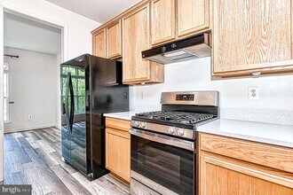 43783 Maison Blanc Square in Ashburn, VA - Building Photo - Building Photo