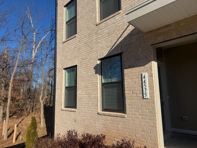44575 Strabane Ter in Ashburn, VA - Building Photo - Building Photo