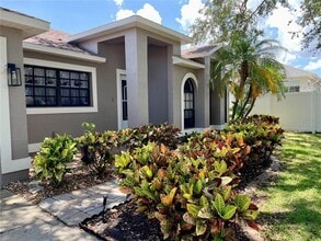 203 Lexington St in Oldsmar, FL - Building Photo - Building Photo