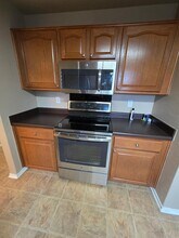 528 Starling Creek in New Braunfels, TX - Building Photo - Building Photo