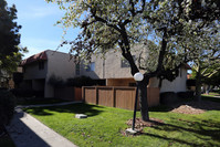 Casa De Alvarado in San Diego, CA - Foto de edificio - Building Photo