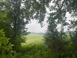 224 Park Cir Dr in Charlotte, TN - Building Photo - Building Photo