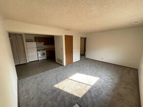 1617 Prospect St, Unit 4 in Lincoln, NE - Building Photo - Building Photo