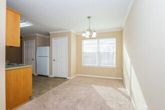 1014 Vera Cruz Dr in Rosenberg, TX - Building Photo - Building Photo