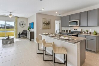 16632 Mosaic Oar Dr in Wimauma, FL - Building Photo - Building Photo