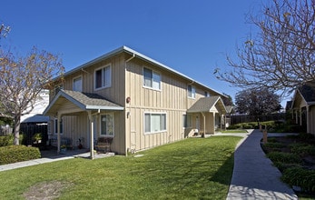 Sunshine Village Apartments in Santa Cruz, CA - Building Photo - Building Photo