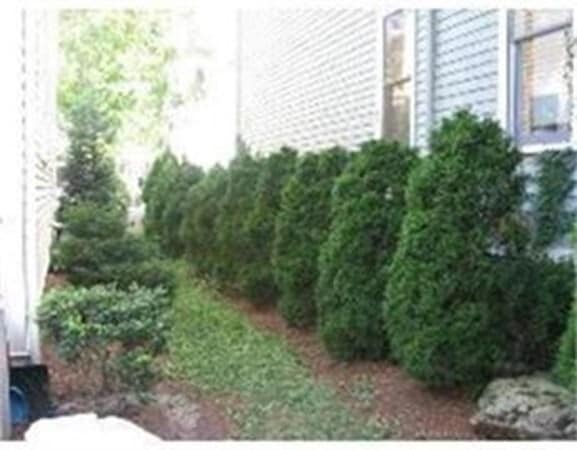 1 Farrell Way in Cambridge, MA - Building Photo - Building Photo