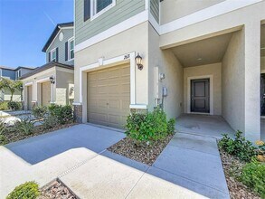 2671 Buttercup Lucine Ln in Ruskin, FL - Building Photo - Building Photo