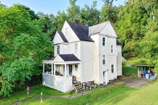 217 Singer Ave in Mckees Rocks, PA - Building Photo