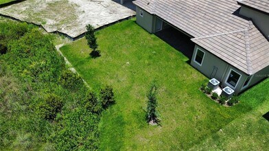 35436 Big Hawk Dr in Zephyrhills, FL - Building Photo - Building Photo