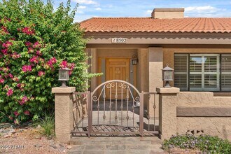 8502 E Belgian Trail in Scottsdale, AZ - Building Photo - Building Photo