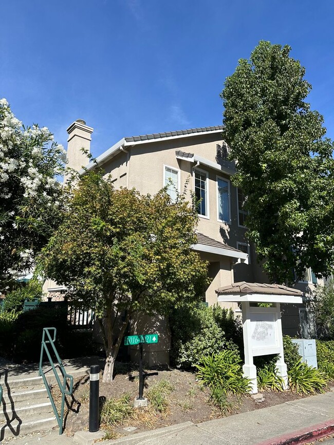 1016 Phoenix St in Danville, CA - Foto de edificio - Building Photo