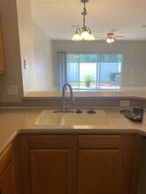 20406 Needletree Dr in Tampa, FL - Building Photo - Building Photo