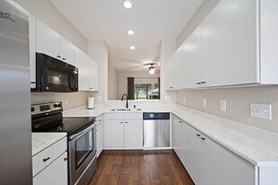 18505 Pebble Lake Ct in Tampa, FL - Building Photo