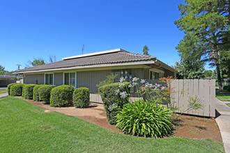 Monterey Pines Apartments in Fresno, CA - Building Photo - Building Photo