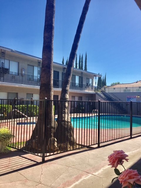 260 N Oak Ave in Pasadena, CA - Building Photo