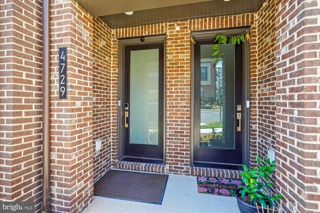 4729 Tatum Ml Wy in Chantilly, VA - Building Photo - Building Photo