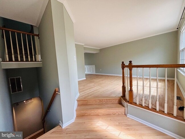109 Barrows Ct in Fredericksburg, VA - Building Photo - Building Photo