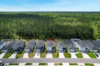597 Meadow Ridge Dr in St. Augustine, FL - Building Photo - Building Photo