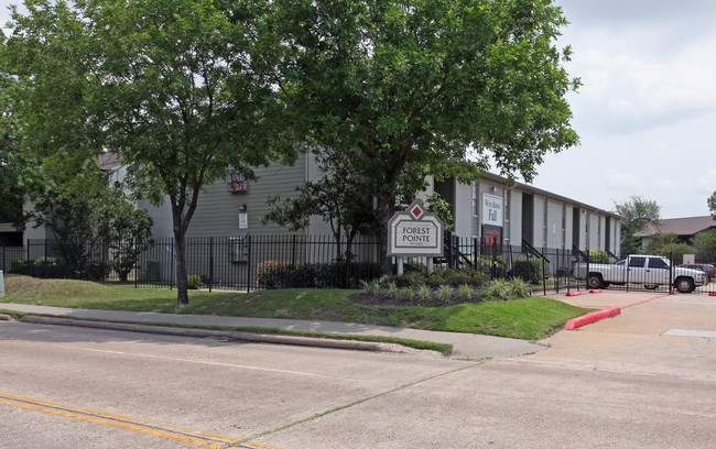 Forest Pointe in Houston, TX - Building Photo - Building Photo