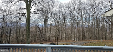 68 Blue Sky Rd in Linden, VA - Building Photo - Building Photo