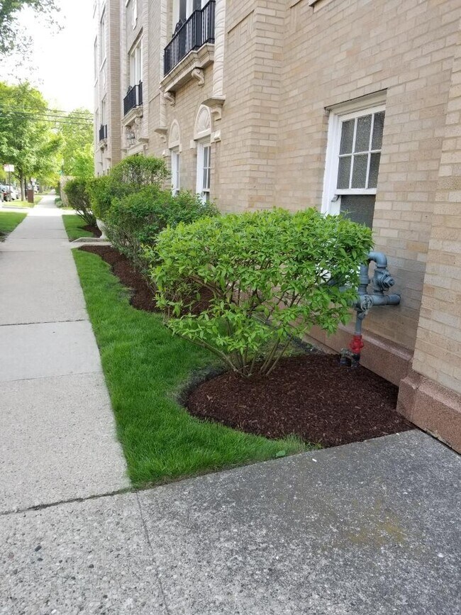 802 Elmwood Ave in Evanston, IL - Building Photo - Building Photo