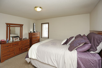 Westwood Chateau Apartments in St. Louis Park, MN - Foto de edificio - Interior Photo
