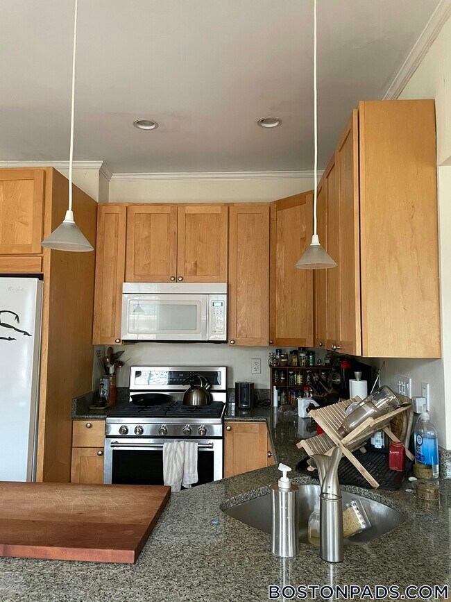 30 Healey St in Cambridge, MA - Building Photo - Building Photo