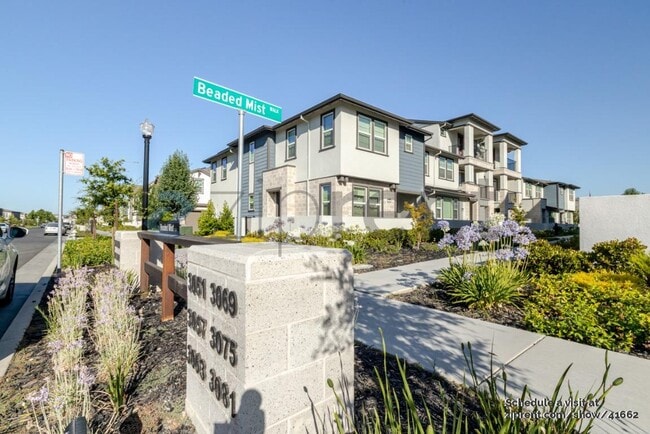 property at 3063 Beaded Mist Walk