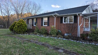 744 S Austin Springs Rd in Johnson City, TN - Building Photo