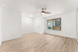 903 Silver Quail Ln in Austin, TX - Building Photo - Building Photo