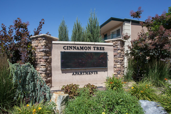 Cinamon Tree Apartments in Provo, UT - Building Photo - Building Photo