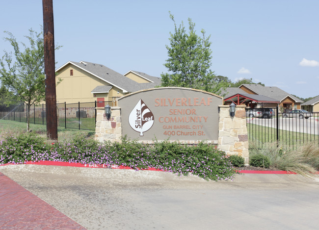 Silverleaf at Chandler in Chandler, TX - Building Photo - Building Photo