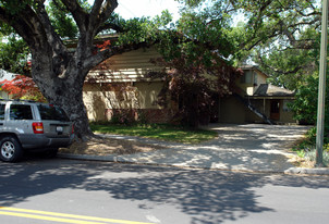 131 Carlton Ave in Los Gatos, CA - Building Photo