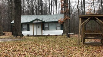 19670 Park Rd in Big Rapids, MI - Building Photo