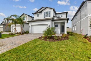 3093 Fall Harvest Dr in Zephyrhills, FL - Building Photo