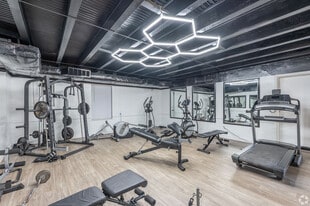 The Grove at Five Points in Athens, GA - Building Photo