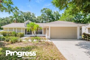 10414 Ashley Oaks Dr in Riverview, FL - Building Photo