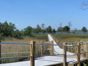 6518 Sharks Tooth Trl in Wilmington, NC - Building Photo - Building Photo