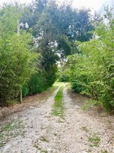 8638 Garden Way Rd in Groveland, FL - Building Photo - Building Photo