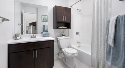 5 W Chestnut St in Chicago, IL - Building Photo - Building Photo