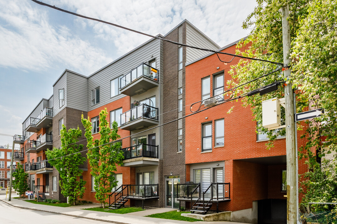 70 Saint-Ferdinand Rue in Montréal, QC - Building Photo