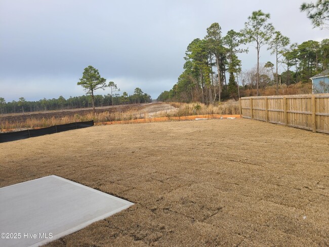 4854 Abbington Oaks Wy in Southport, NC - Building Photo - Building Photo