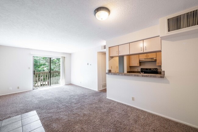 property at 941 Calle Mejia