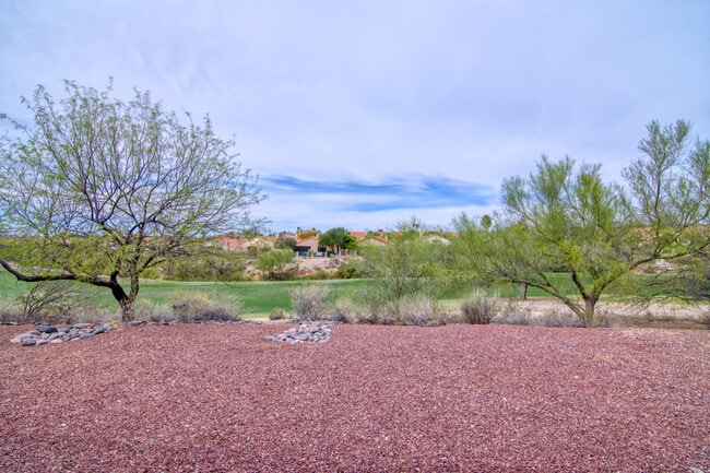 11089 N Lapis Ct in Oro Valley, AZ - Building Photo - Building Photo