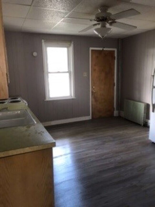 141 W Abbott St in Lansford, PA - Building Photo - Building Photo
