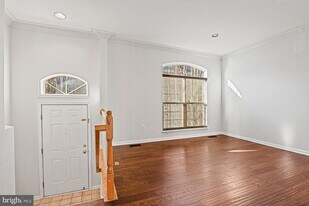 46223 Wales Terrace in Sterling, VA - Building Photo