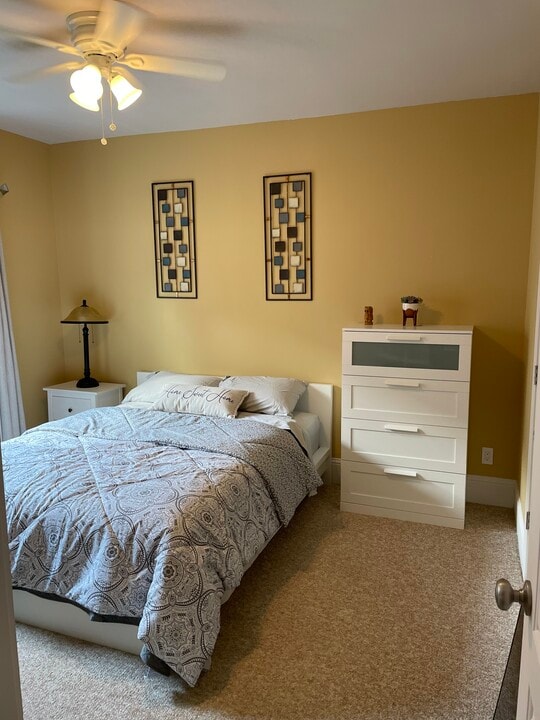 2510 Eagle St in Houston, TX - Foto de edificio