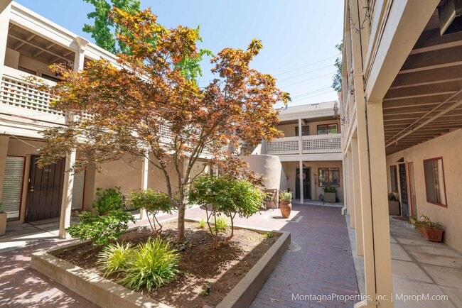 property at 439 Alberto Way